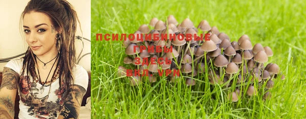 соль ск Нязепетровск