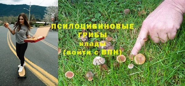 соль ск Осинники