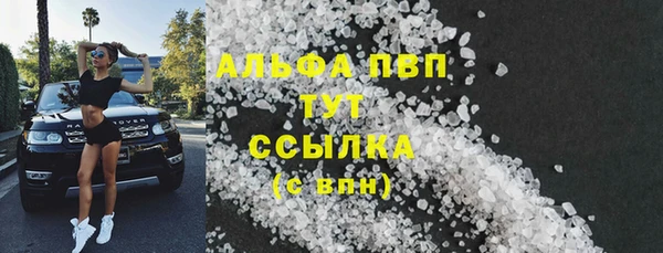 прущие грибы Волоколамск