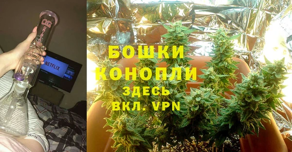 шишки Нягань